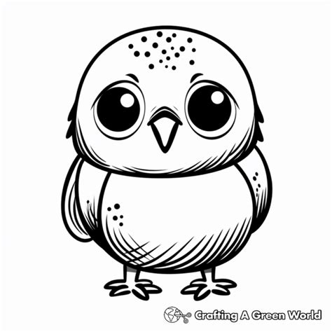 Budgie Coloring Pages Free Printable