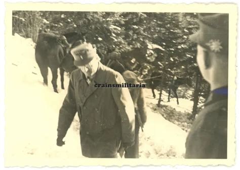 ORIG FOTO GEBIRGSJÄGER General Ferdinand Schörner mit Pour le Mérite