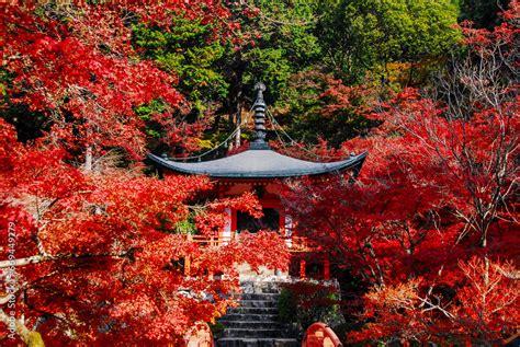 醍醐寺 弁天堂の紅葉（京都市伏見区醍醐） Stock Foto Adobe Stock