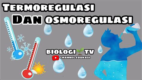 Mekanisme Osmoregulasi Dan Termoregulasi Biologi Sma Kelas 11 Babsistem Hormonalendokrin