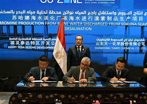 suez net worth