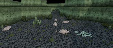 Brine Rat Cavern - The RuneScape Wiki