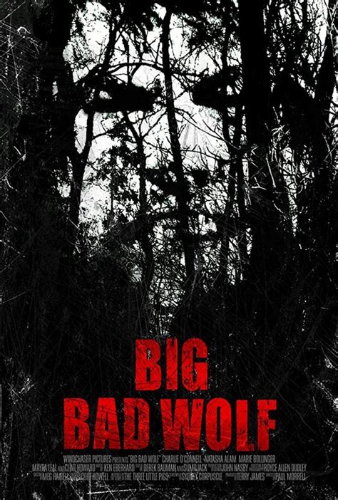 Big Bad Wolves Dvd