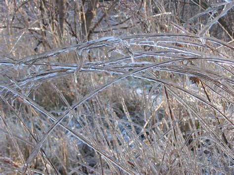 Daryl McMahon: The freezing rain and No.15