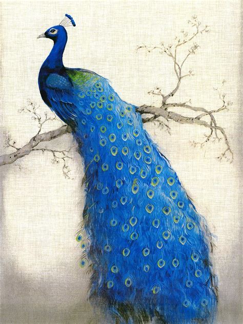 Peacock Wall Art Peacock Painting Birds Painting Acrylic Paint Set