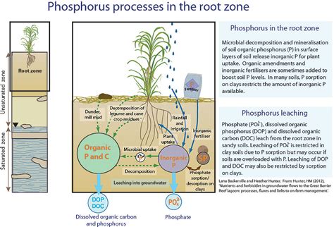 Modelling Groundwater Transport Of Nutrients And Herbicides