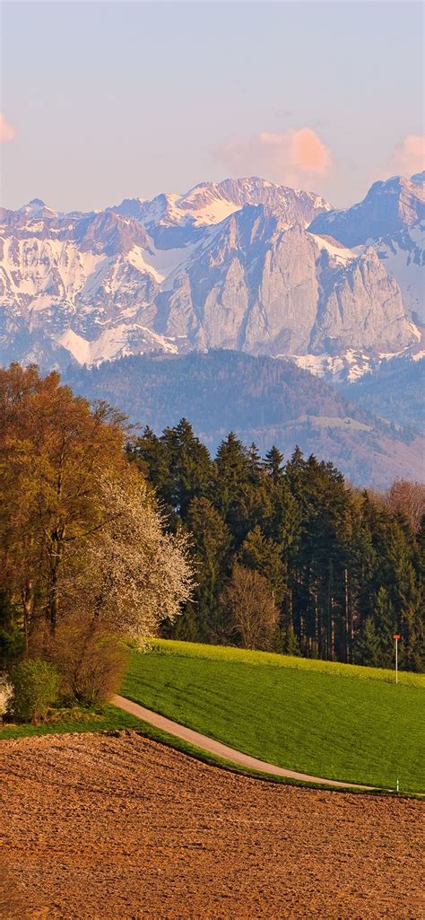 Wallpaper Switzerland, mountains, trees, fields 3840x2160 UHD 4K ...