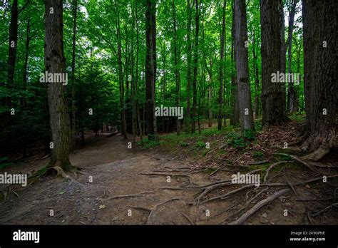 Chestnut Ridge Park Eternal Flame Falls Trail Stock Photo Alamy