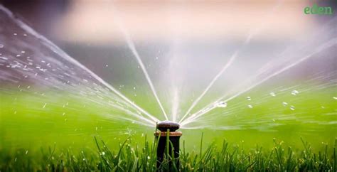 How to Install a Home Lawn Sprinkler System? | Eden Lawn Care and Snow Removal