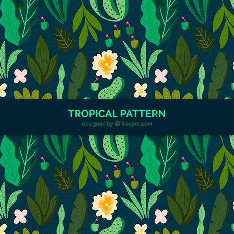 Free Vector | Tropical background with plants