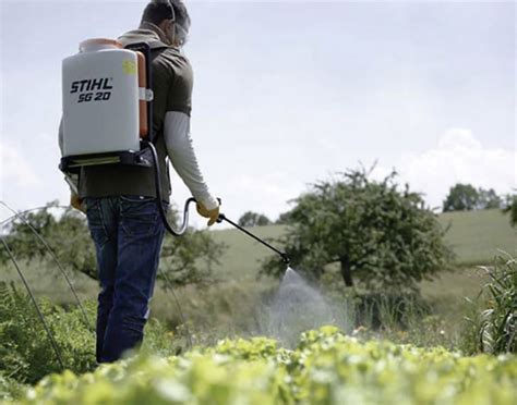 Best Backpack Sprayers For Your Yard And Garden