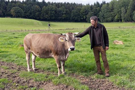 Lust Aufs Land Bayerische Hofgeschichten Biohof St Johann