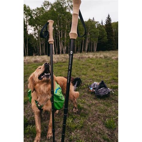 Gossamer Gear Lt Trekking Poles G