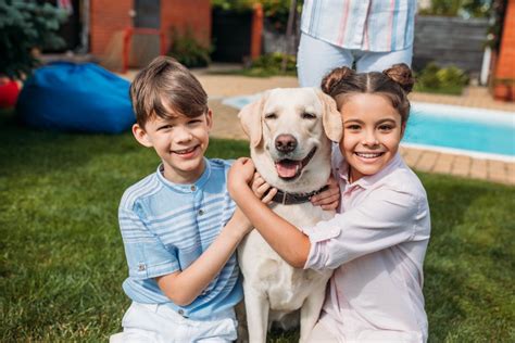 Les chiens les plus adaptés aux familles avec enfants