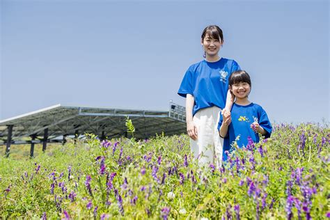 里山ガイド ｜ アシックス里山スタジアム｜asics Satoyama Stadium （fc今治新スタジアム）