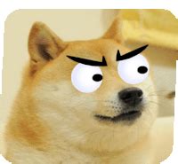 Doge Gifs