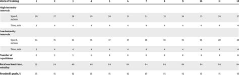 The High Intensity Interval Training Protocol Download Scientific Diagram