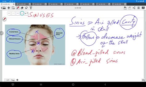 SOLVED: Our nostrils have hair and mucous. What is the need to have ...