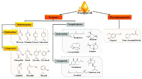 Chemical Structures Of Some Constituents Of Essential Oils Download Scientific Diagram