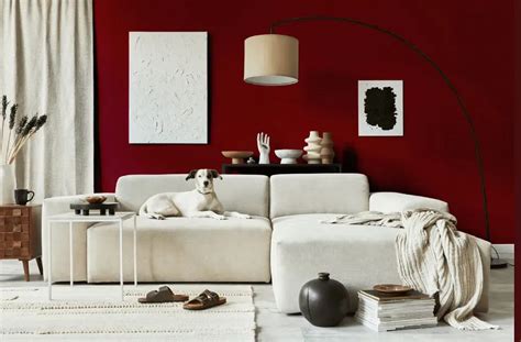 Sherwin Williams Crimson Red SW 2906: 30 real pictures