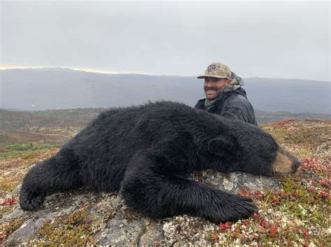 DIY Black Bear Hunts - Unguided Alaska