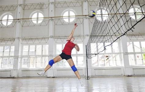 Indoor Volleyball Stock Photos, Images and Backgrounds for Free Download