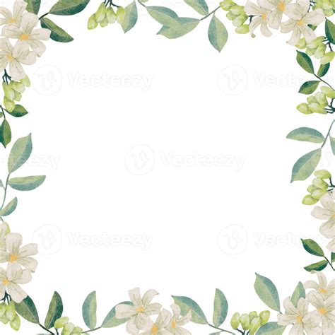 Watercolor White Murraya Orange Jasmine Flower Bouquet Wreath Frame