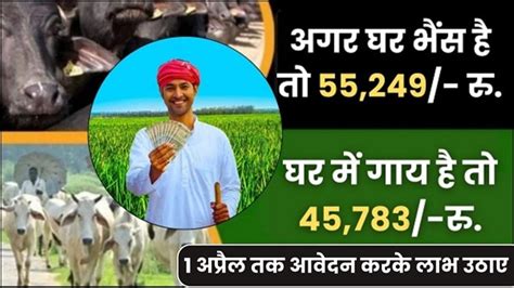 Apply Animal Husbandry 2024 होली का तोफा घर में गाय है तो 45783