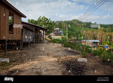 Remote Rural Village Or Kampong In Northern Sabah Borneo Malaysia