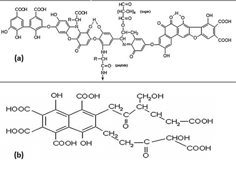 Model Structures Of Humic Acid By Stevenson 45 And Of Fulvic Acid By