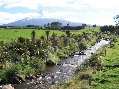 Nz Farm Forestry Transforming Taranaki With Riparian Plantings