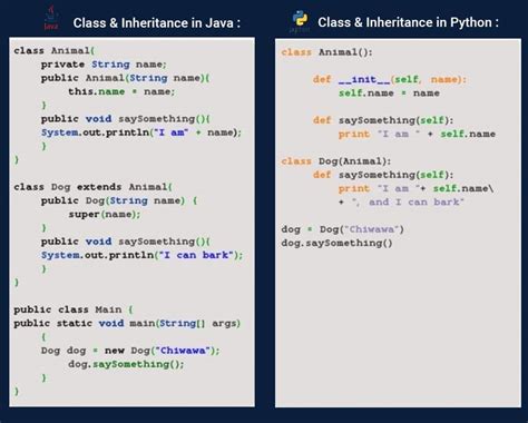 Java Vs Python Which Language Fits Your Needs