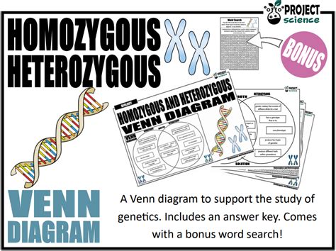 Genetics Homozygous And Heterozygous Venn Diagram Teaching Resources