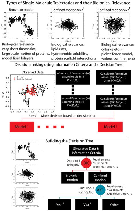 Bayesian Decision Tree For The Classification Of Single Molecule