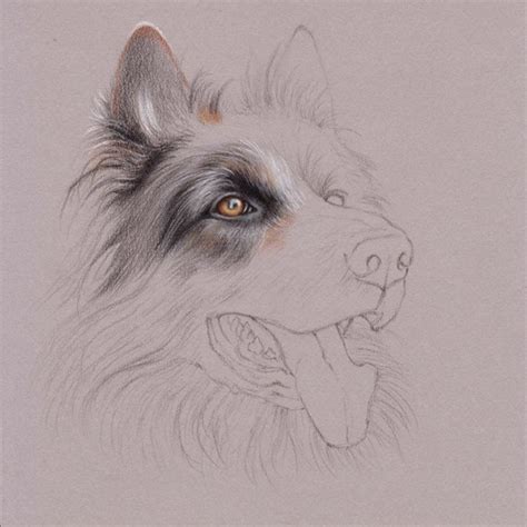 UART Tip: Drawing Fur with Colored Pencils – Step-by-Step