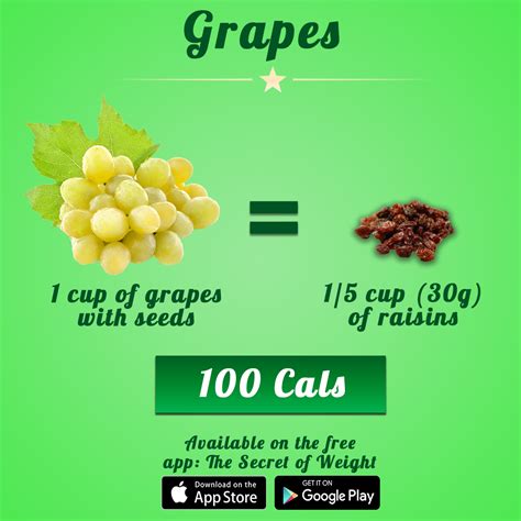 Weight Loss Calorie Calculator Timeline | BMI Formula