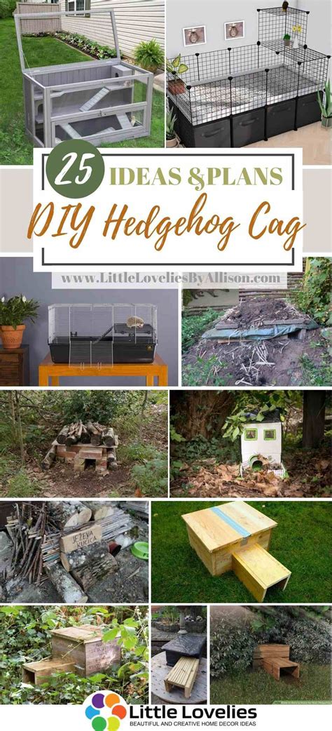 Diy Hedgehog Cage Dresser - 14 Pet Hedgehog Cages & Habitat - meowlogy / Every hedgehog needs a ...