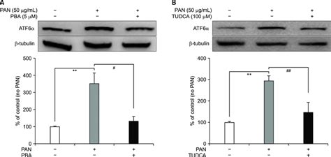 Er Stress Inhibitors Reduce Pan Induced Er Stress A 4 Pba 5 μm Download Scientific Diagram