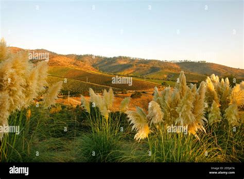 Chile, South America Stock Photo - Alamy