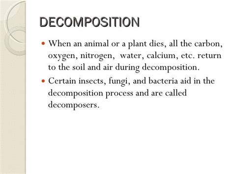 Carbon-Oxygen Cycle