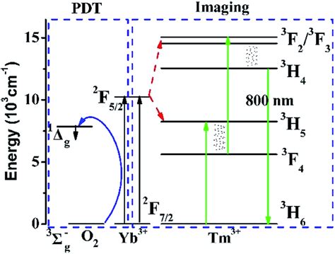 Energy levels of Yb³ Tm³ and O2 systems and the proposed energy