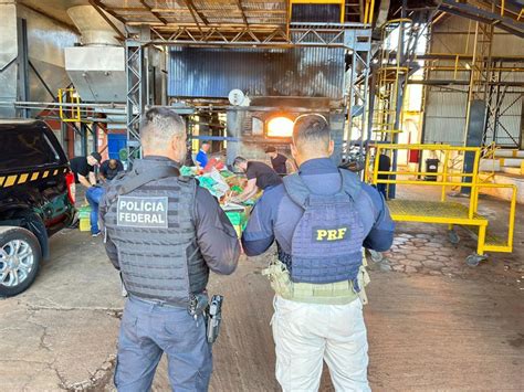 PRF e PF incineram mais de 8 toneladas de drogas apreendidas no Paraná