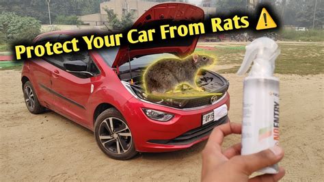 Keep Mice Out Of Vehicles