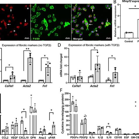 Pdf Macrophage Elastase Mmp Critically Contributes To The