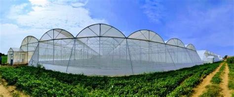 Gsm Mesh Net White Green House Shading For Agriculture At Rs