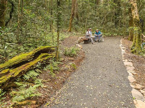 Lamington National Park Parks And Forests Department Of Environment And Science Queensland