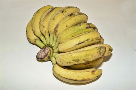 The Wide World of Banana Varieties – Recette Magazine