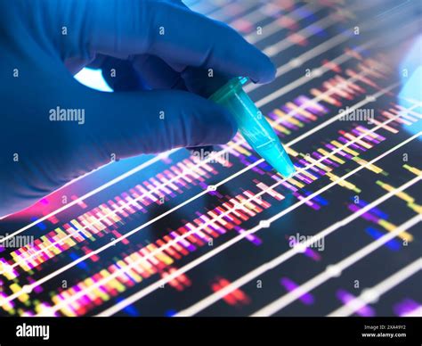 Genomic Research Scientist Holding A Dna Sample In A Vial With The