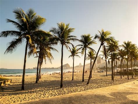 Premium Photo Sunset View Of Leme And Copacabana Beach With Coconut