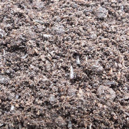 Buy Ericaceous Compost - UK Garden Supplies